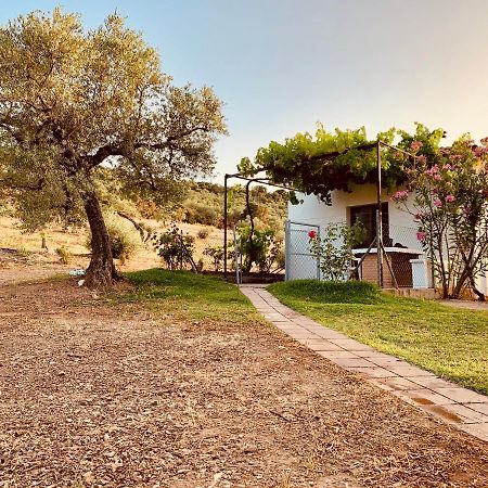 Casa Rural Arroyo Marco Guadalcanal Kültér fotó