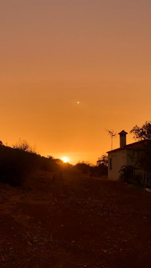 Casa Rural Arroyo Marco Guadalcanal Kültér fotó